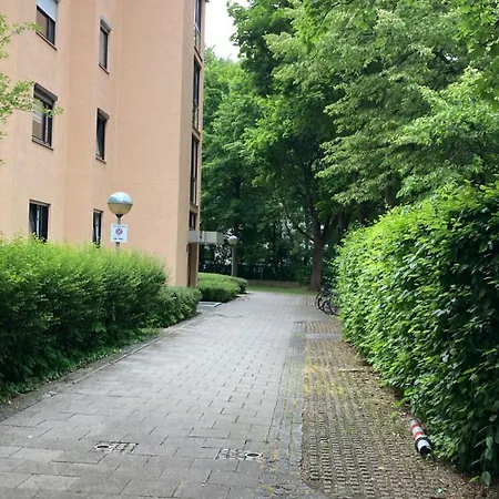 Oasis *